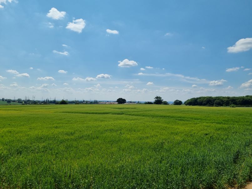 28.04 Acres Arable Land Bramley, South Yorks DDM Agriculture