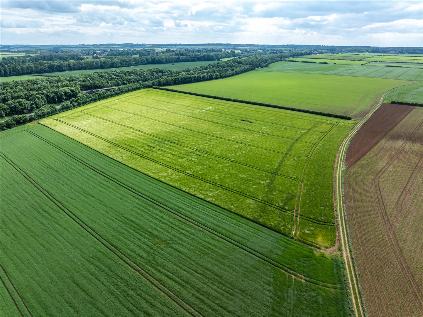 Land at Castlethorpe, Broughton, Brigg, North Linolnshire DDM Agriculture