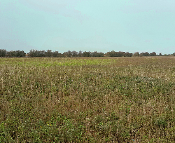 7 86 Acres Of Grade 3 Arable Land Stainforth DDM Agriculture