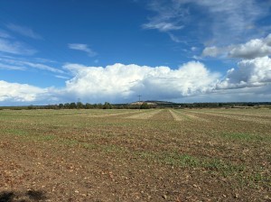 25-156_-_Front_Photo