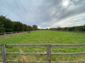 35841144-ee46-4d17-9098-bb7e8afaa359