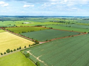 39.51_Acres_South_Kelsey