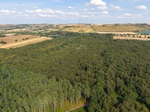 Drone_-_Nettleton_Woodland_%2824_of_35%29