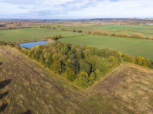 Drone_Photos_-_Grasby_Woodland_%281_of_26%29