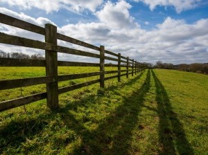 Fence_Unsplash_LOW_crispin-jones-Fn0SU9QsLs0-unsplash