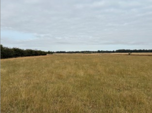 Grassland_Crowle_For_sale_1