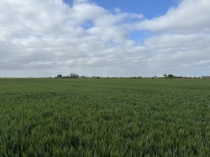 IMG_0327