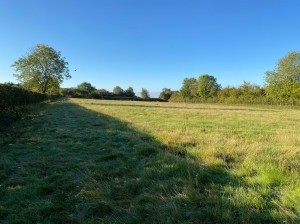 Land