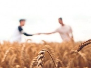 Wheat_handshake_resize