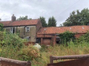 photos_9